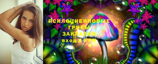 a pvp Алзамай