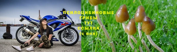 МДПВ Алексин