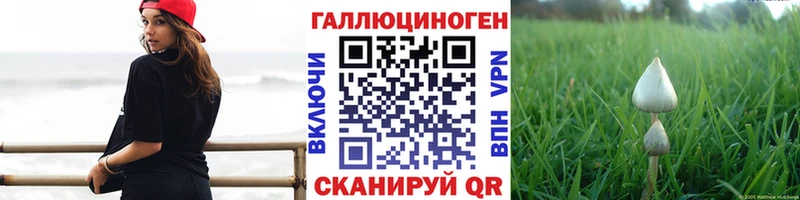Псилоцибиновые грибы Psilocybine cubensis наркота Бакал