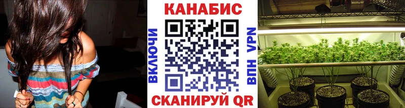 Канабис VHQ купить сайты Бакал